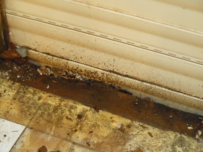 water damaged mobile home sub-floor